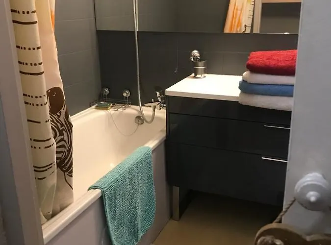 Face Au Mont Blanc 아파트