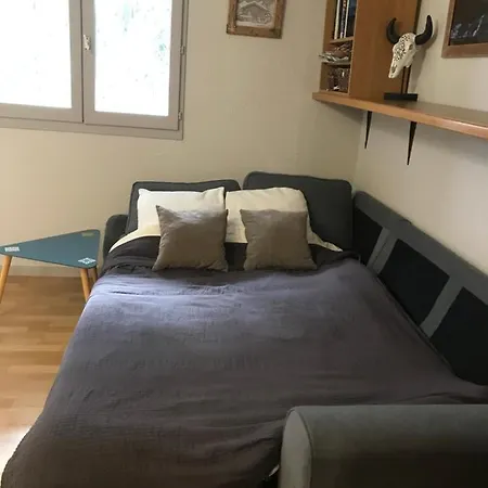 Face Au Mont Blanc * 霞慕尼