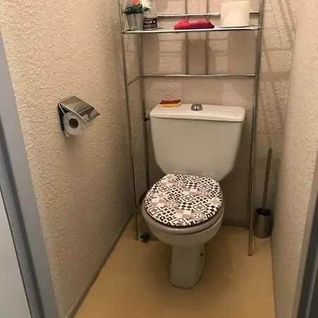 Face Au Mont Blanc * 霞慕尼