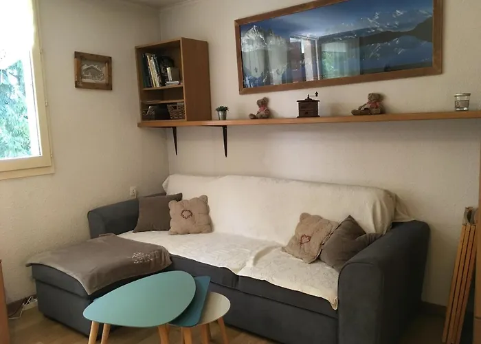 Face Au Mont Blanc Apartment